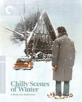 Chilly Scenes of Winter (Criterion Collection) - BLU-RAY