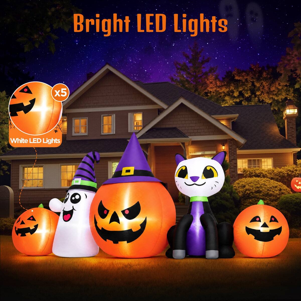 Bright LED Lights  
x5  
White LED Lights