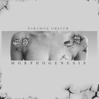 Morphogenesis [LP] - VINYL - Front_Zoom