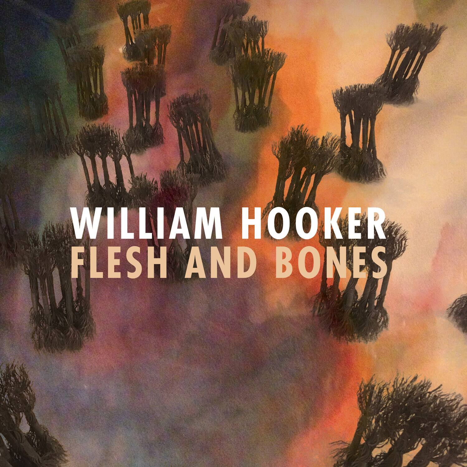 William Hooker - Flesh and Bones   - COMPACT DISCS [CD] price history on PriceWatchPro