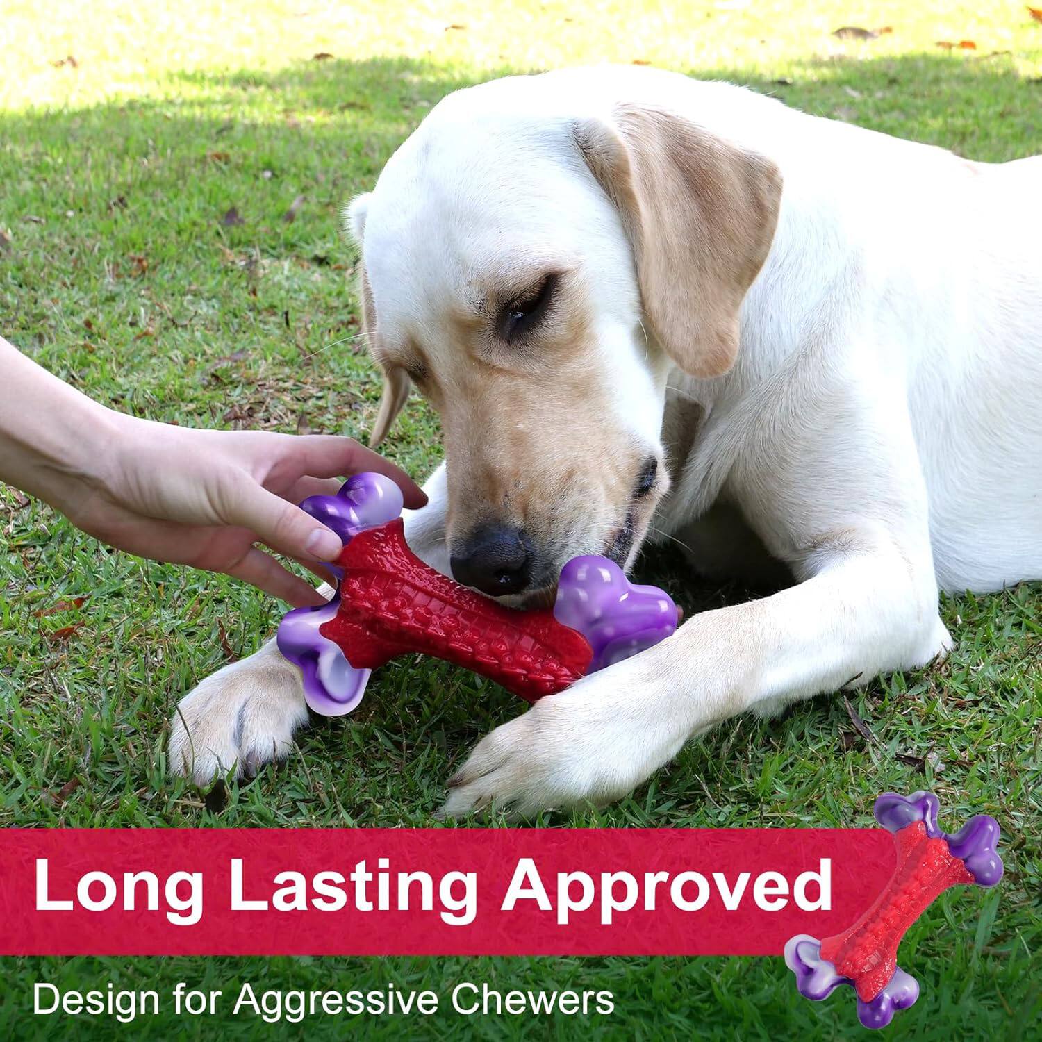 Frienhund Nylon Bone Shaped Chicken Flavored Dog Chew Toy, 1 count Red ...
