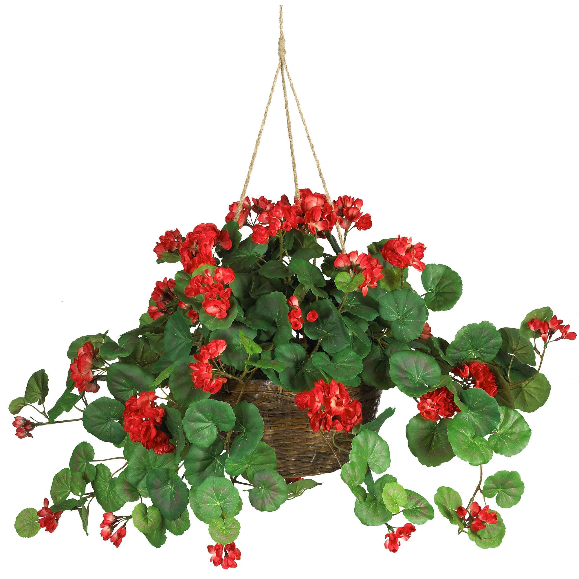 Angle. BreeBe - Geranium Hanging Basket - Red - Red.