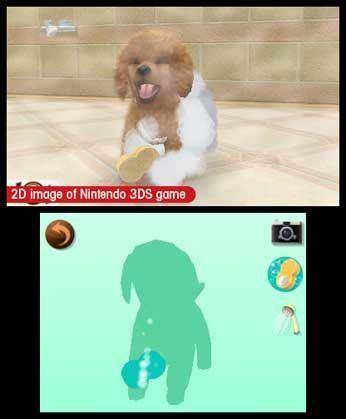 2D image of Nintendo 3DS game