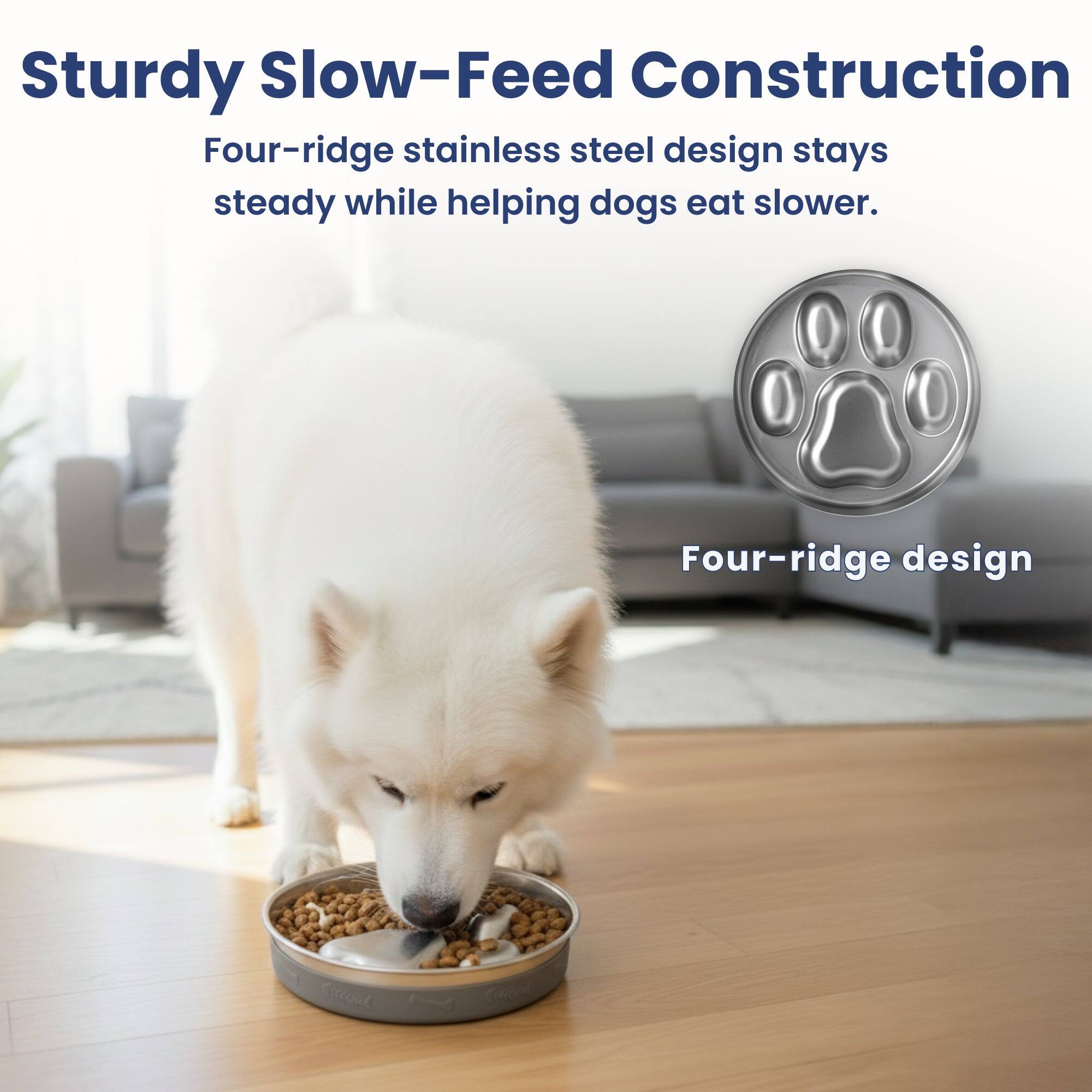 Sturdy Slow-Feed Construction  
Four-ridge stainless steel design stays steady while helping dogs eat slower.  
Four-ridge design