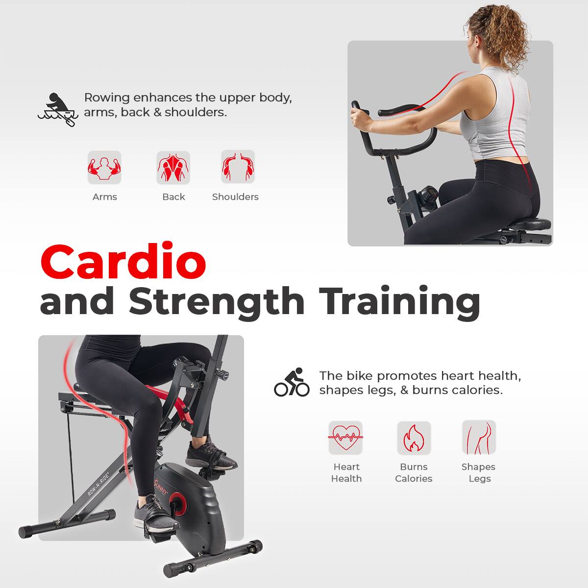 Rowing enhances the upper body, arms, back & shoulders. Cardio and Strength Training The bike promotes heart health, shapes legs, & burns calories. Heart Health Burns Calories Shapes Legs