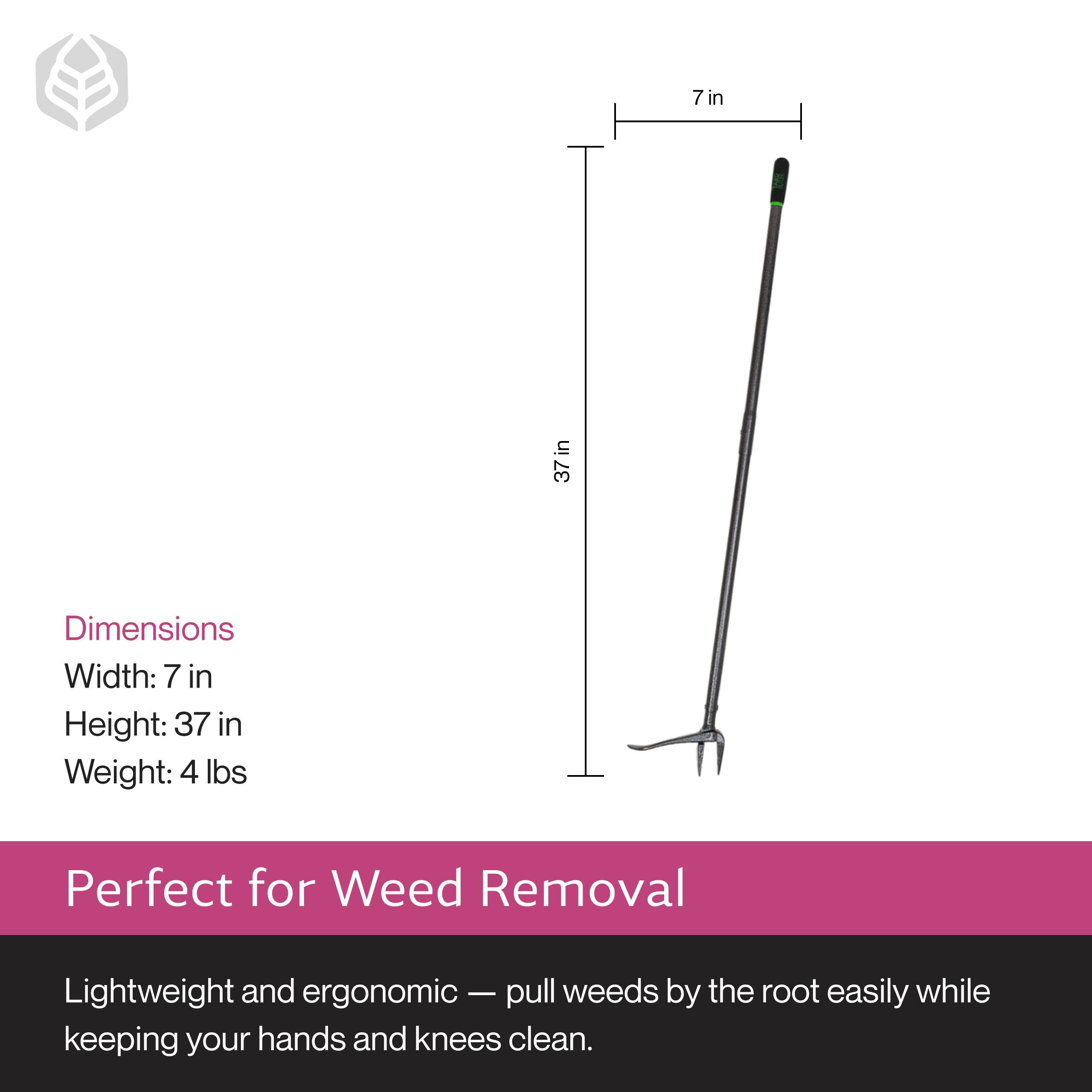 Dimensions  
Width: 7 in  
Height: 37 in  
Weight: 4 lbs  

Perfect for Weed Removal  
Lightweight and ergonomic — pull weeds by the root easily while keeping your hands and knees clean.