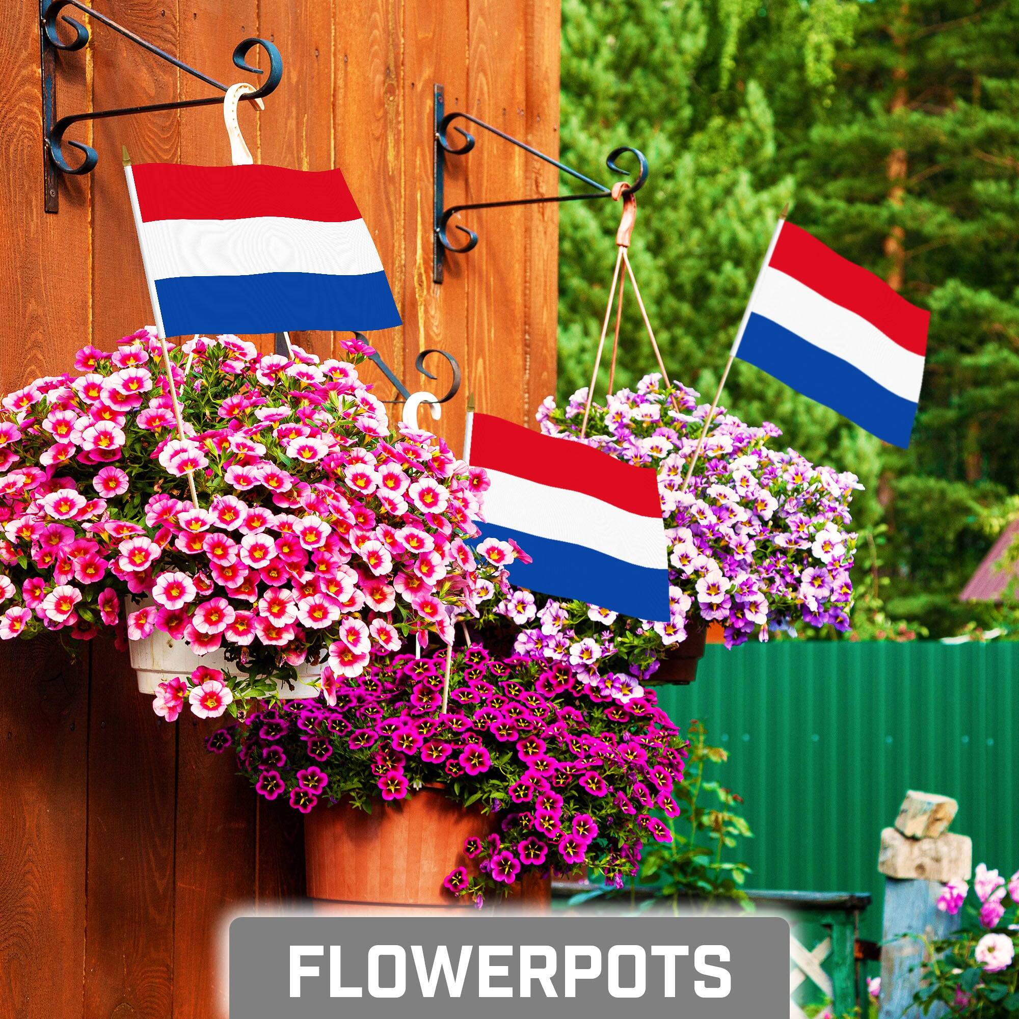 Angle. G128 - 30-Pack Handheld Netherlands Stick Flags, 8 x 12 in, 150D Polyester - Assorted Colors.