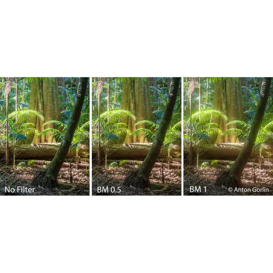 Diffuser Photo Effect Hoya 77mm Mist Diffuser Black No. 1 Glass Filter - Best Buy