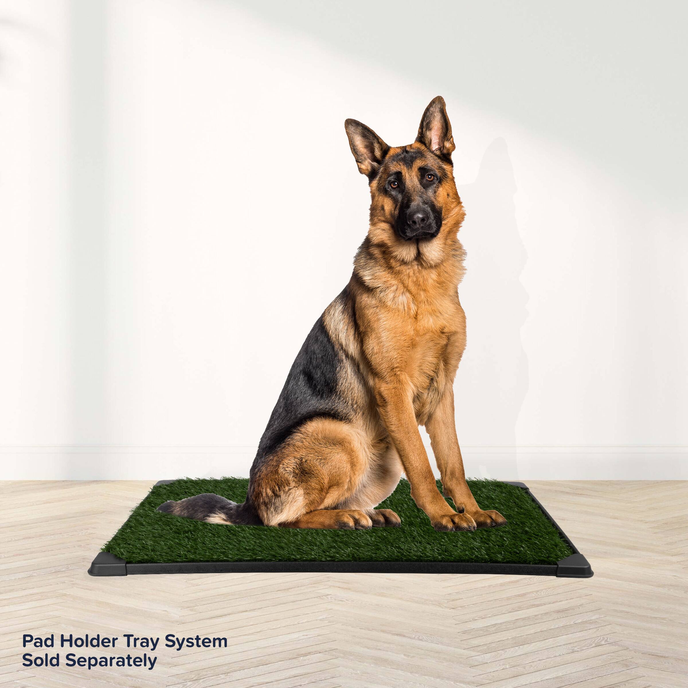 Pad Holder Tray System  
Sold Separately