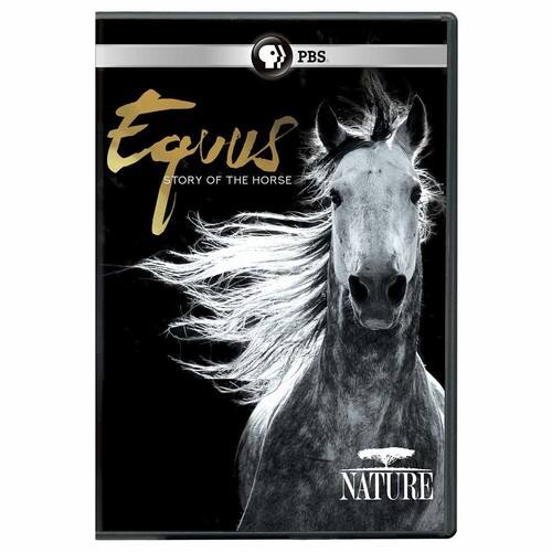 Front. Nature: Equus - Story Of The Horse   - DVD.