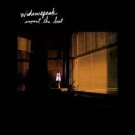 Widowspeak - Expect The Best - VINYL LP