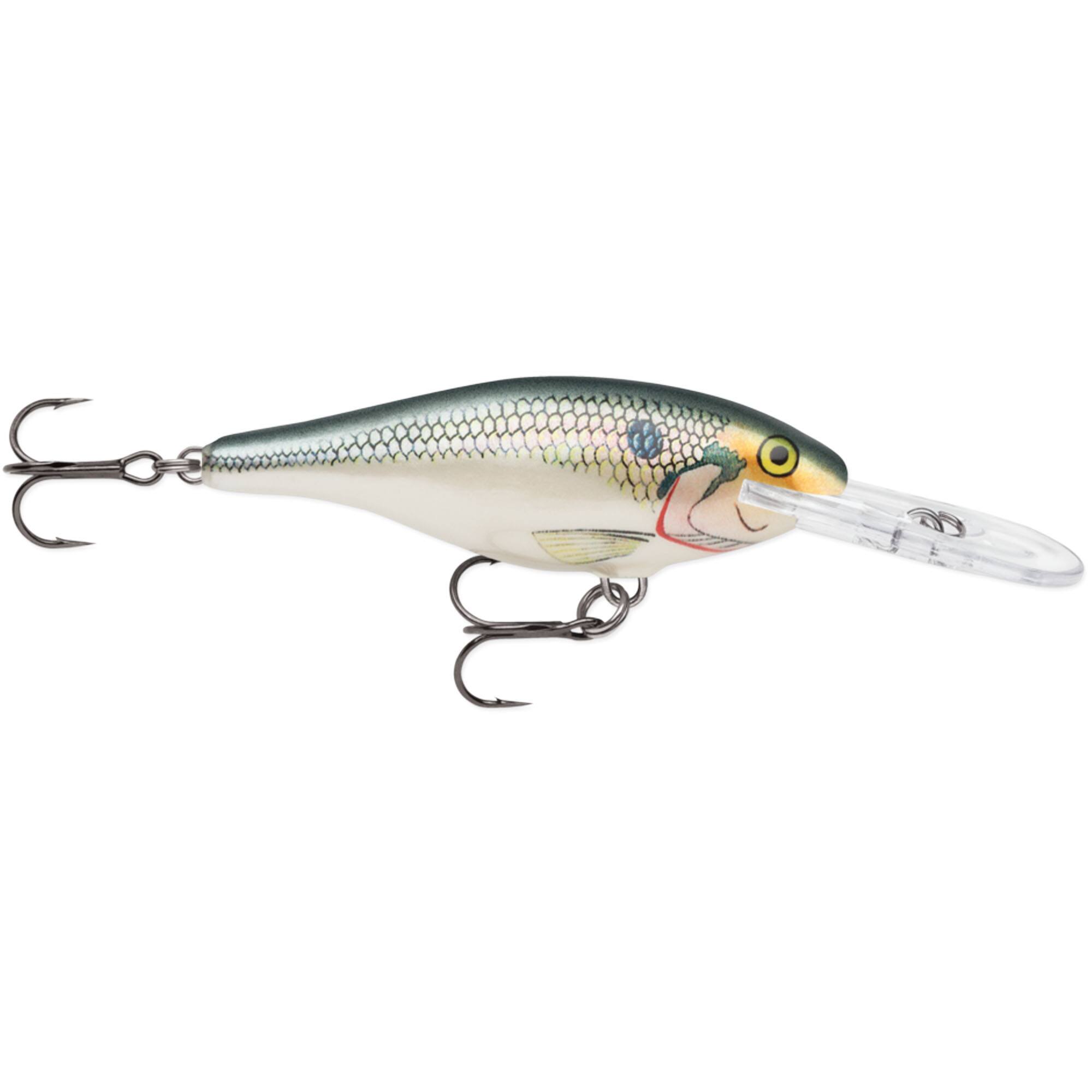 Helsinki Shad