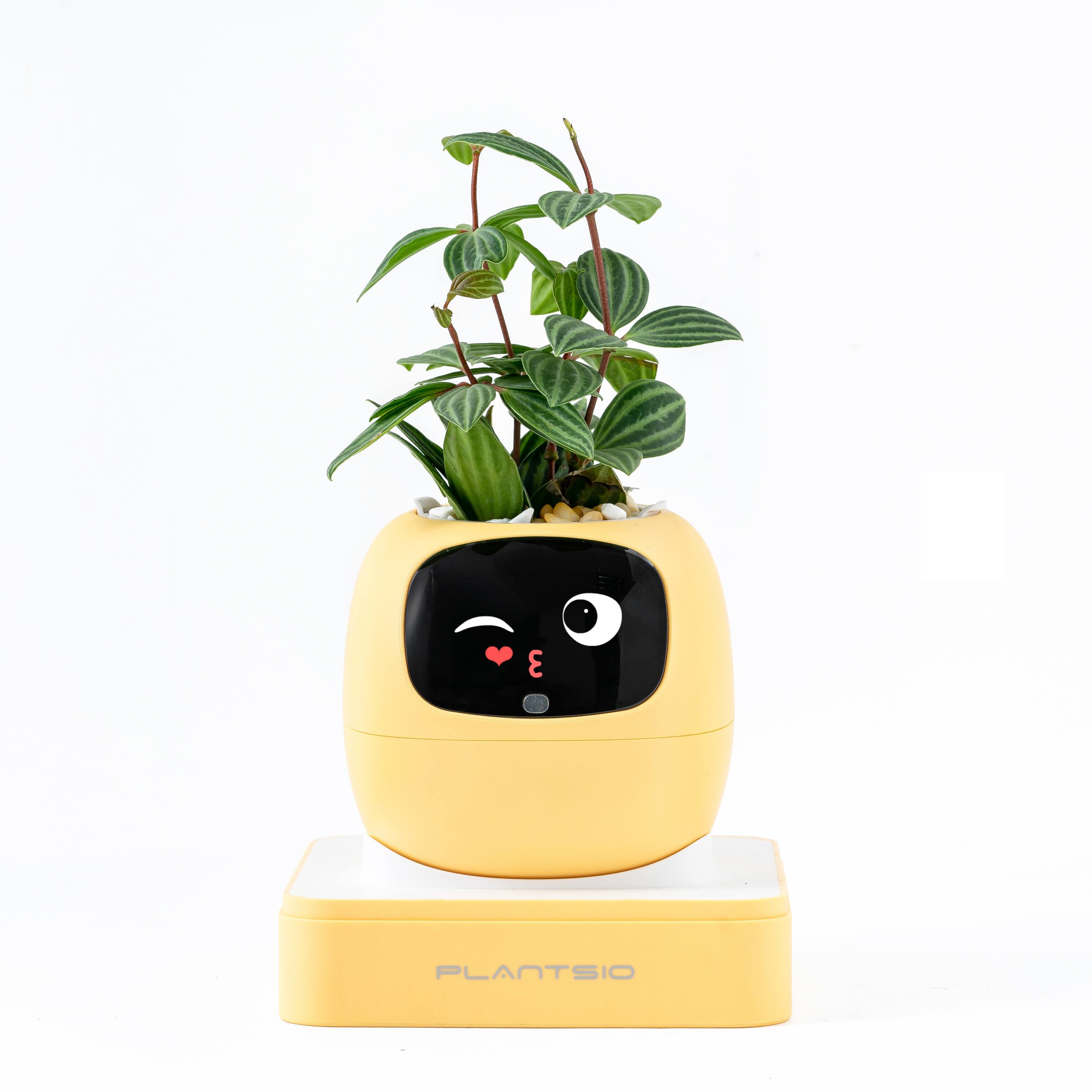 PlantsIO - Ivy Gen 2 Smart Planter-YELLOW