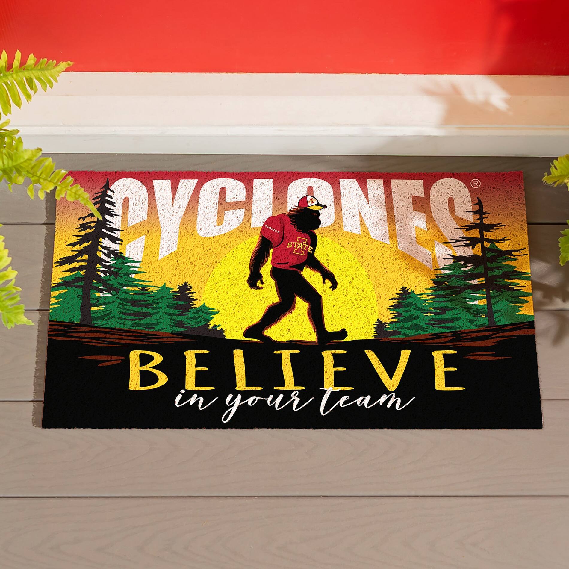 CYCLONES  
BELIEVE in your team