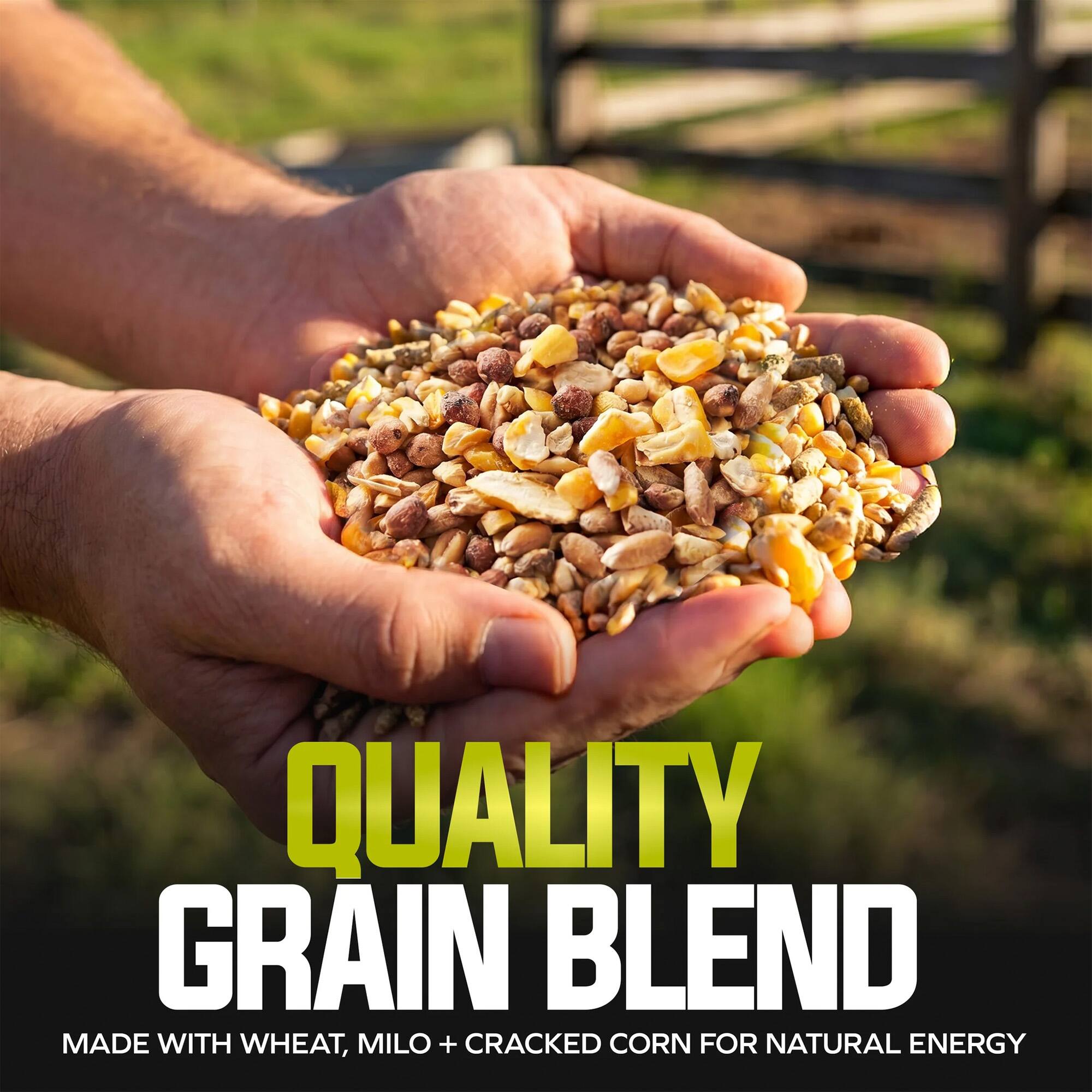 QUALITY GRAIN BLEND MADE WITH WHEAT, MILO + CRACKED CORN FOR NATURAL ENERGY