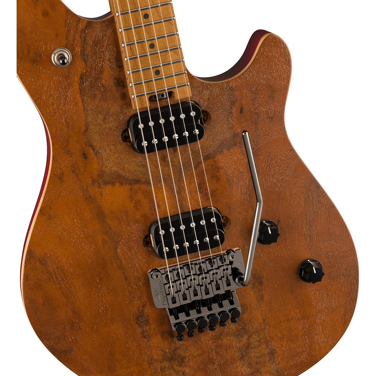 Bass Telecaster II 95 000004 OVE FloydRose4 Floyd