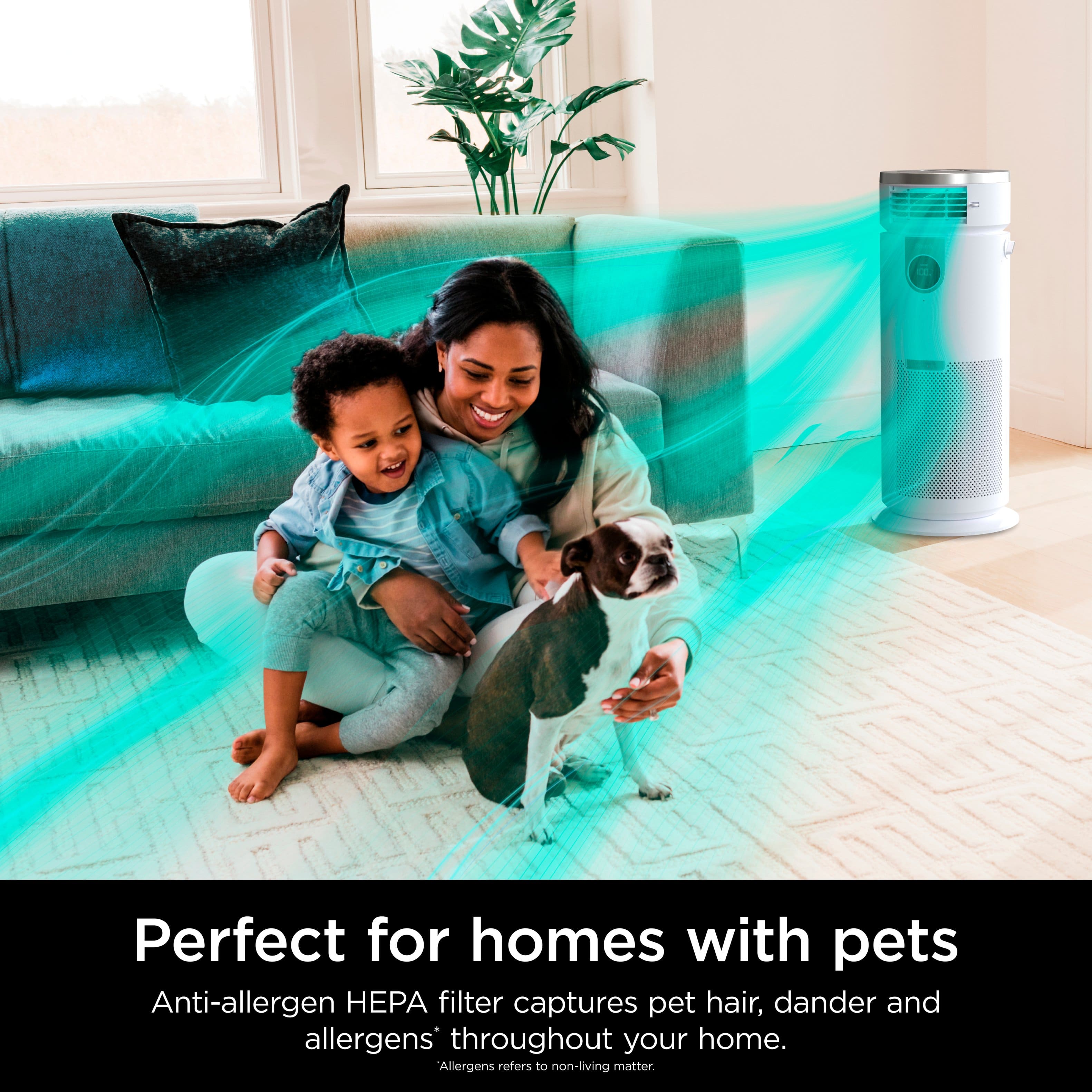 Perfect for homes with pets Anti-allergen filter captures pet hair, dander, and allergens throughout your home. Allergens refer to non-living matter.