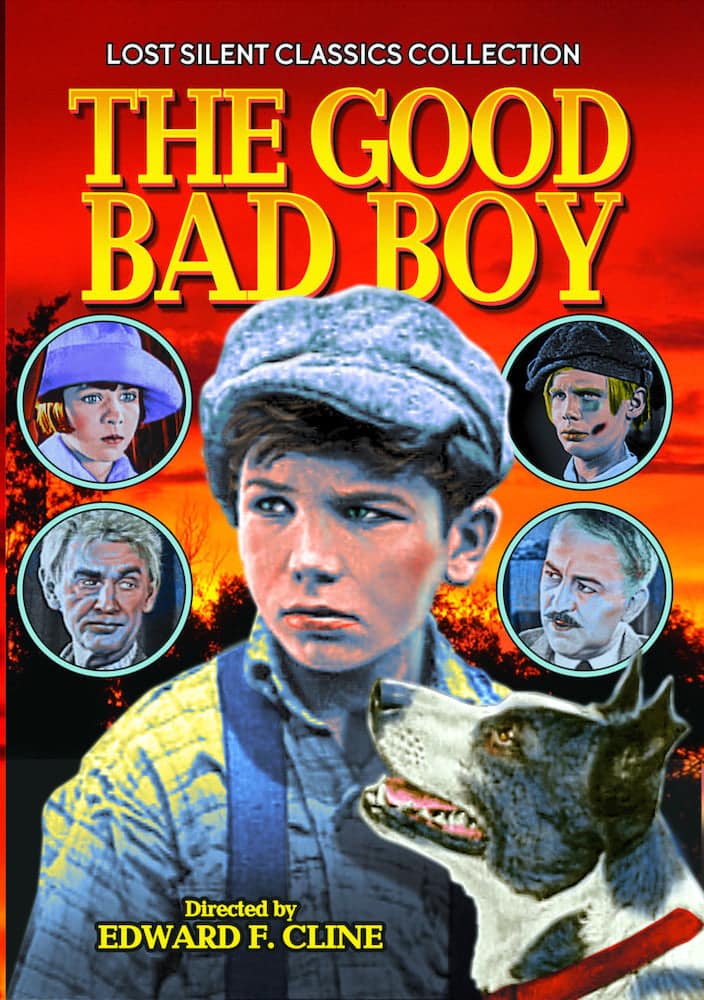 The Good Bad Boy (Silent) - DVD price history on PriceWatchPro