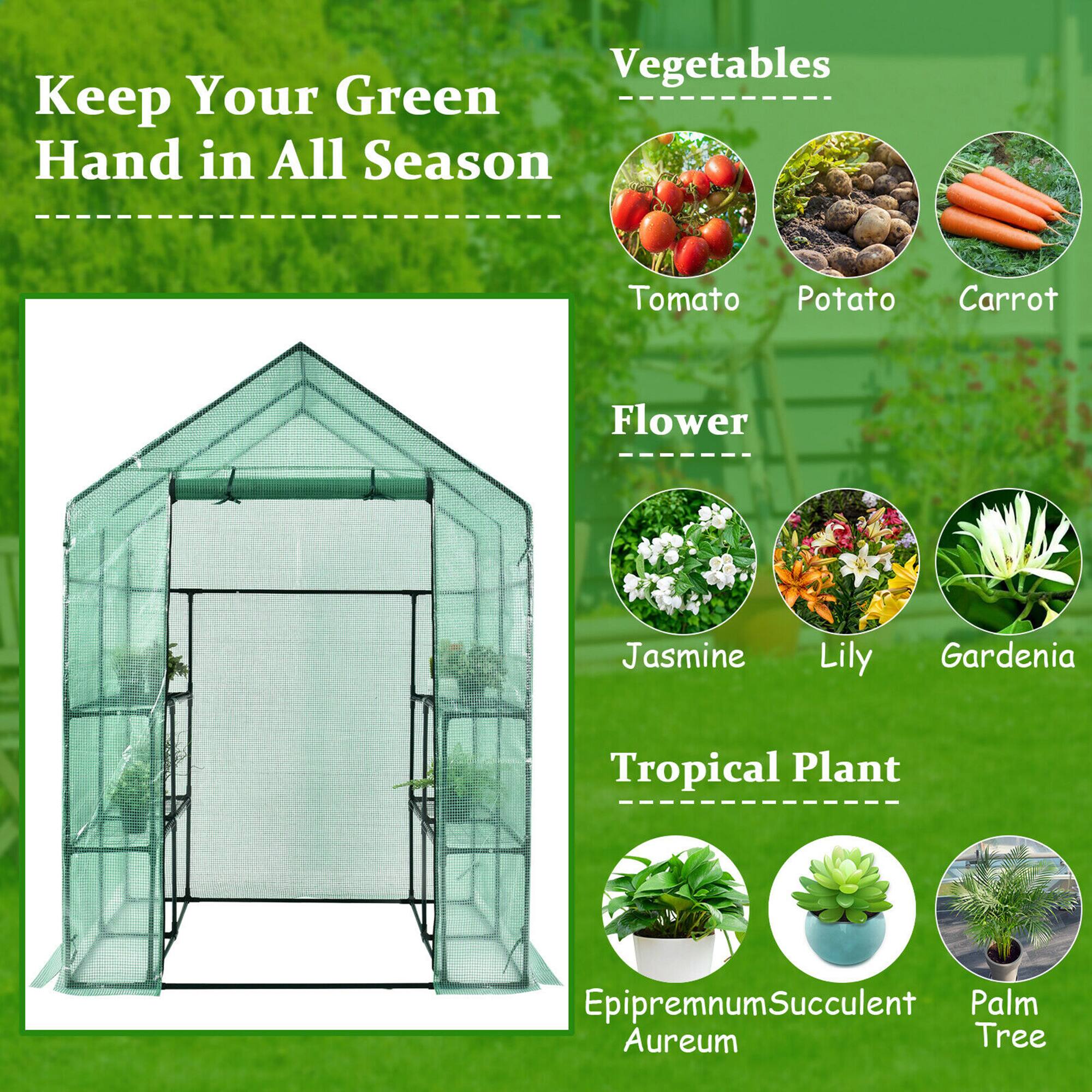 Keep Your Green Hand in All Season

Vegetables
- Tomato
- Potato
- Carrot

Flower
- Jasmine
- Lily
- Gardenia

Tropical Plant
- Epipremnum Aureum
- Succulent
- Palm Tree
