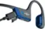 The text on the image reads "SHOKZ DualPitch."