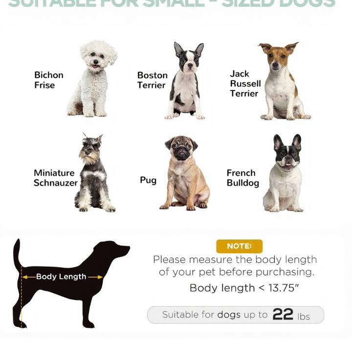 SUITABLE FOR SMALL-SIZED DOGS

- Bichon Frise
- Boston Terrier
- Jack Russell Terrier
- Miniature Schnauzer
- Pug
- French Bulldog

NOTE: Please measure the body length of your pet before purchasing. Body length < 13.75"

Suitable for dogs up to 22 lbs