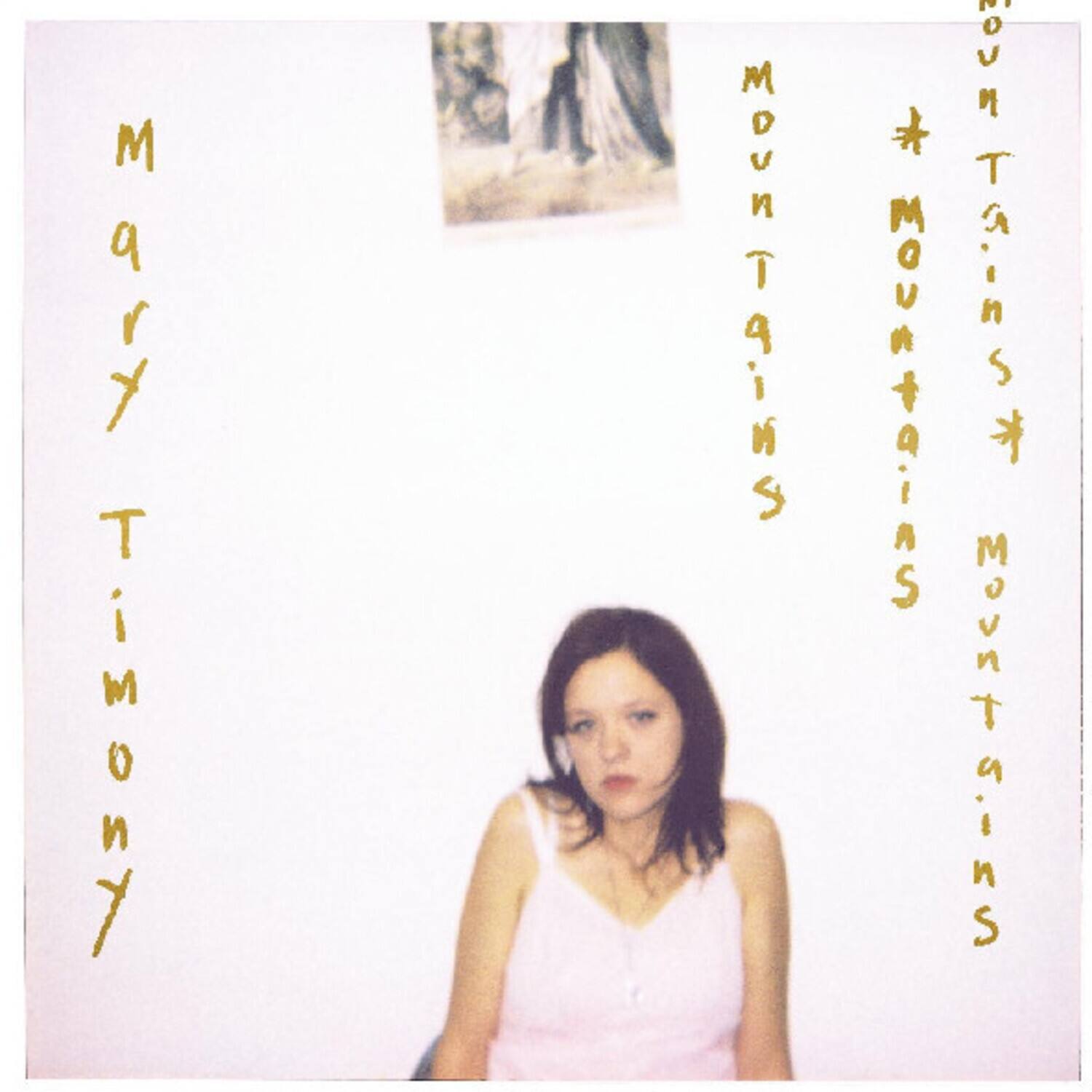 Mary Timony - Mountains   - VINYL LP price history on PriceWatchPro