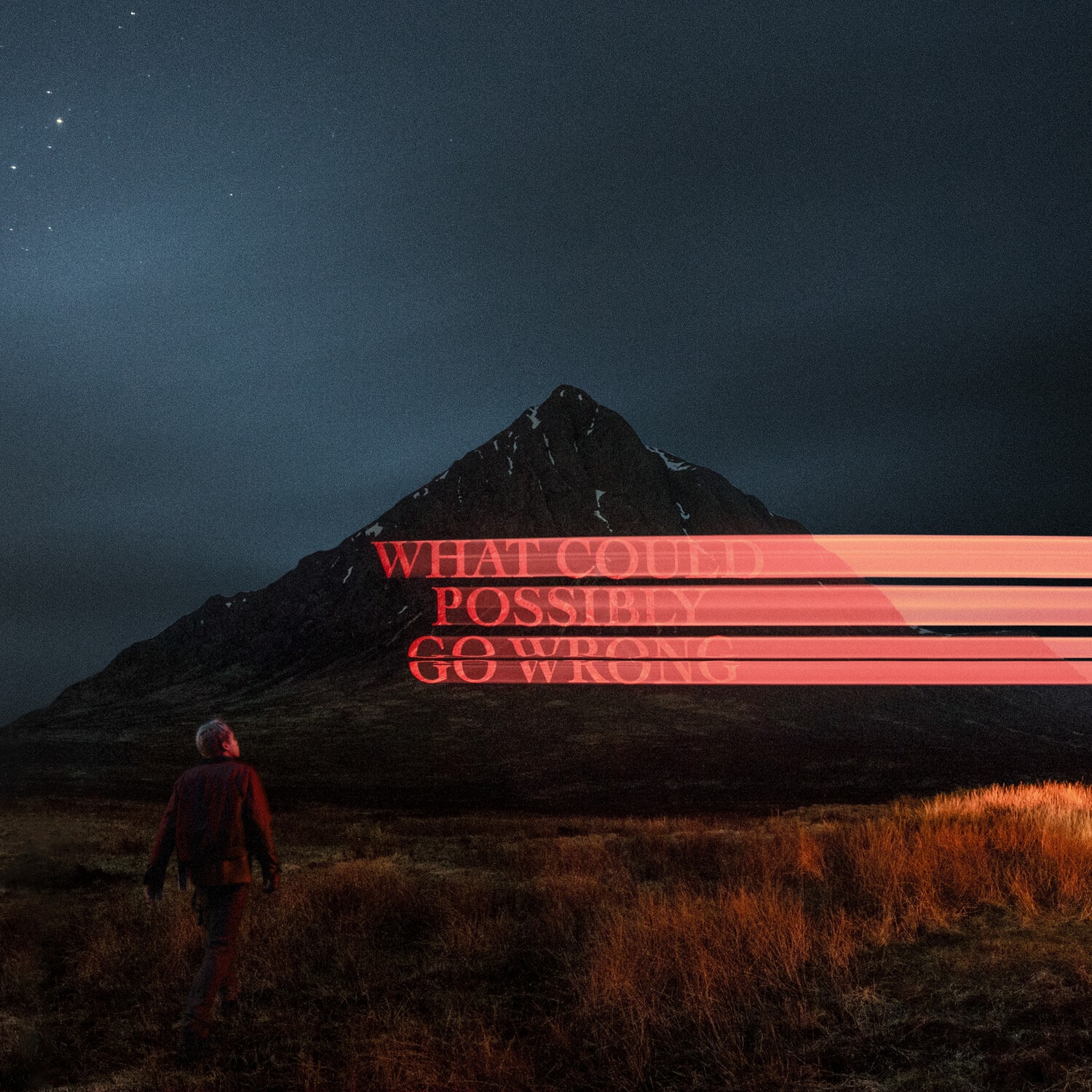 Dominic Fike - What Could Possibly Go Wrong - VINYL LP