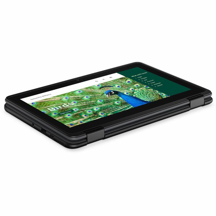 WAS SMS ChE Birds SUs