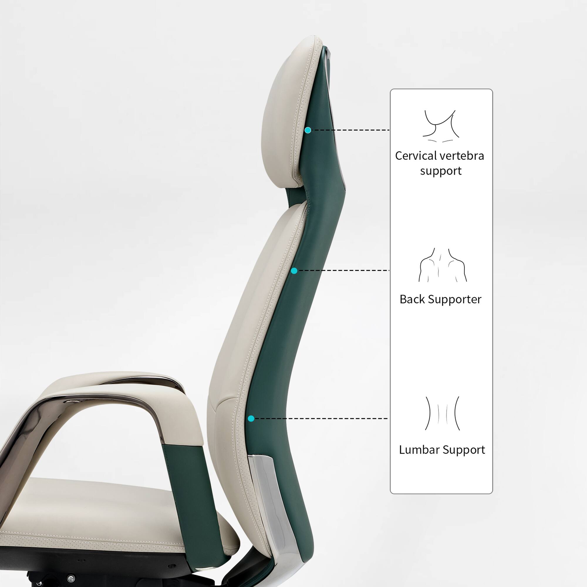Cervical vertebra support  
Back Supporter  
Lumbar Support