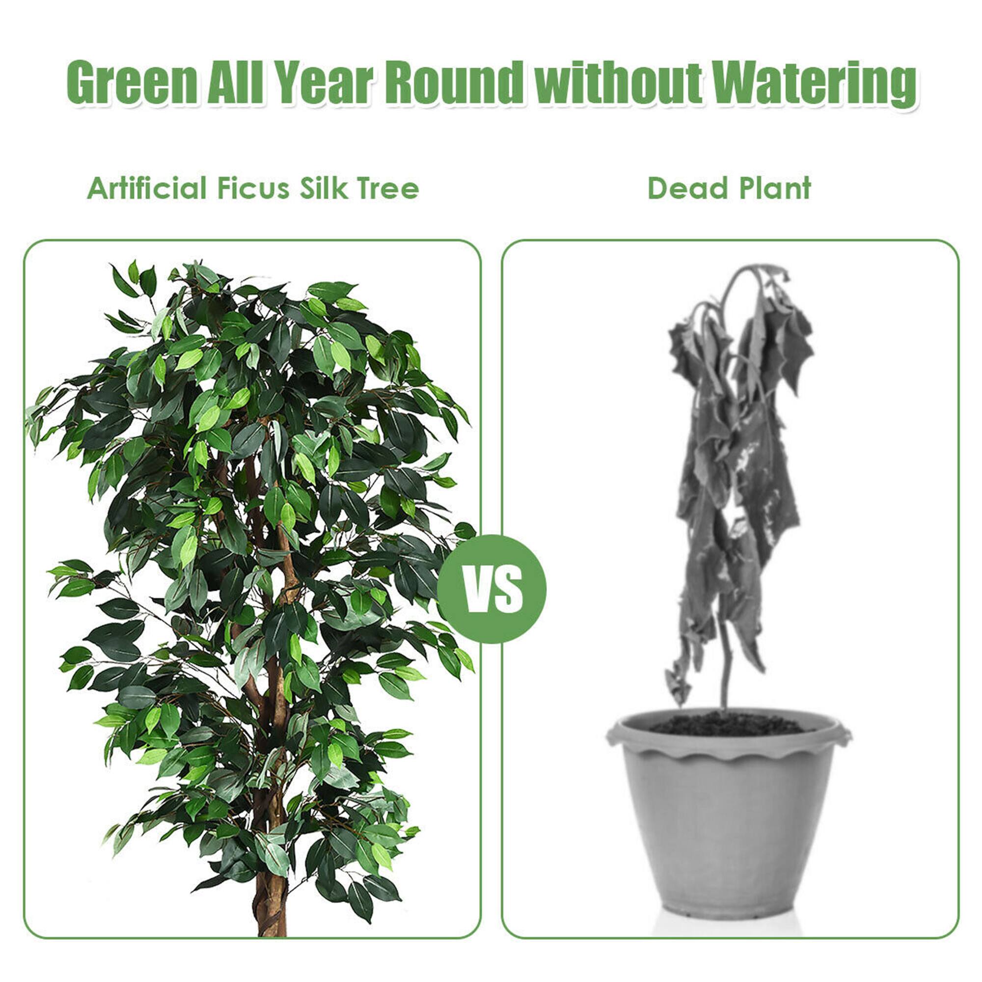 Green All Year Round without Watering

Artificial Ficus Silk Tree

VS

Dead Plant