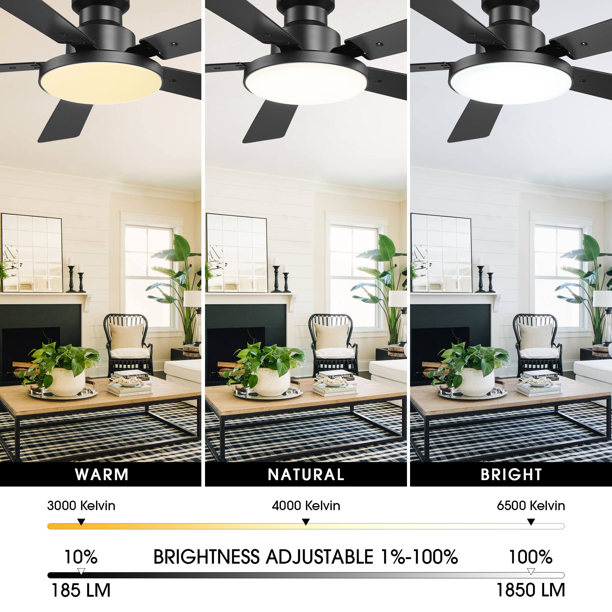 WARM NATURAL BRIGHT  
3000 Kelvin 4000 Kelvin 6500 Kelvin  
10% BRIGHTNESS ADJUSTABLE 1%-100%  
100%  
185 LM 1850 LM