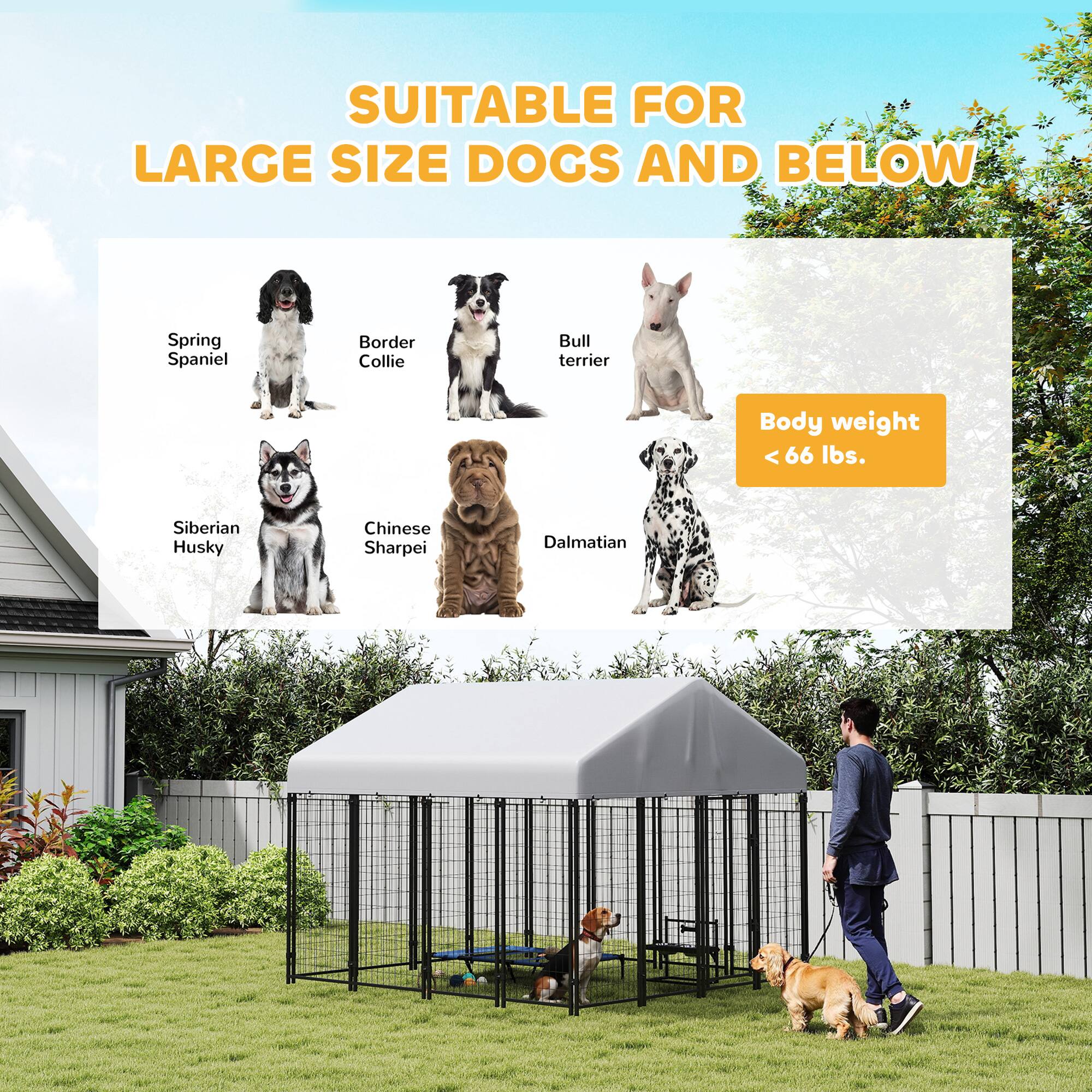 SUITABLE FOR LARGE SIZE DOGS AND BELOW

Body weight < 66 lbs.

- Spring Spaniel
- Border Collie
- Bull Terrier
- Siberian Husky
- Chinese Sharpei
- Dalmatian