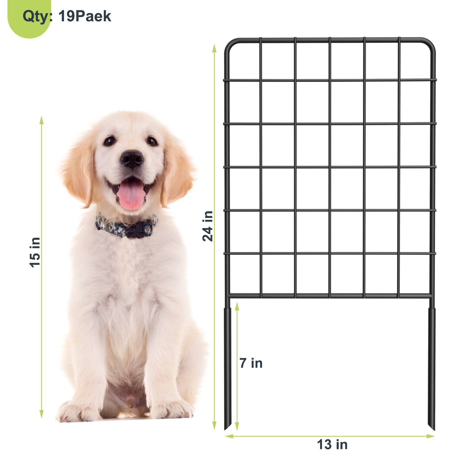 Qty: 19Paek

in 15
in 24
7 in
13 in