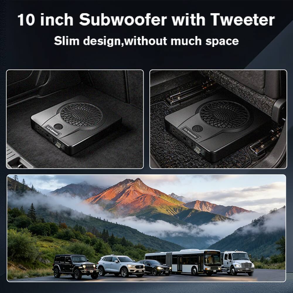 10 inch Subwoofer with Tweeter  
Slim design, without much space