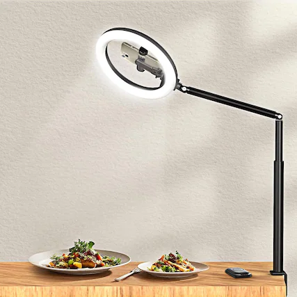 Front. PARKER SLATER - 10.5" Ring Light with Overhead Phone Mount, Selfie Ring Light with Stand & Phone Holder, 360° Rotating Flexible Arm Clam.