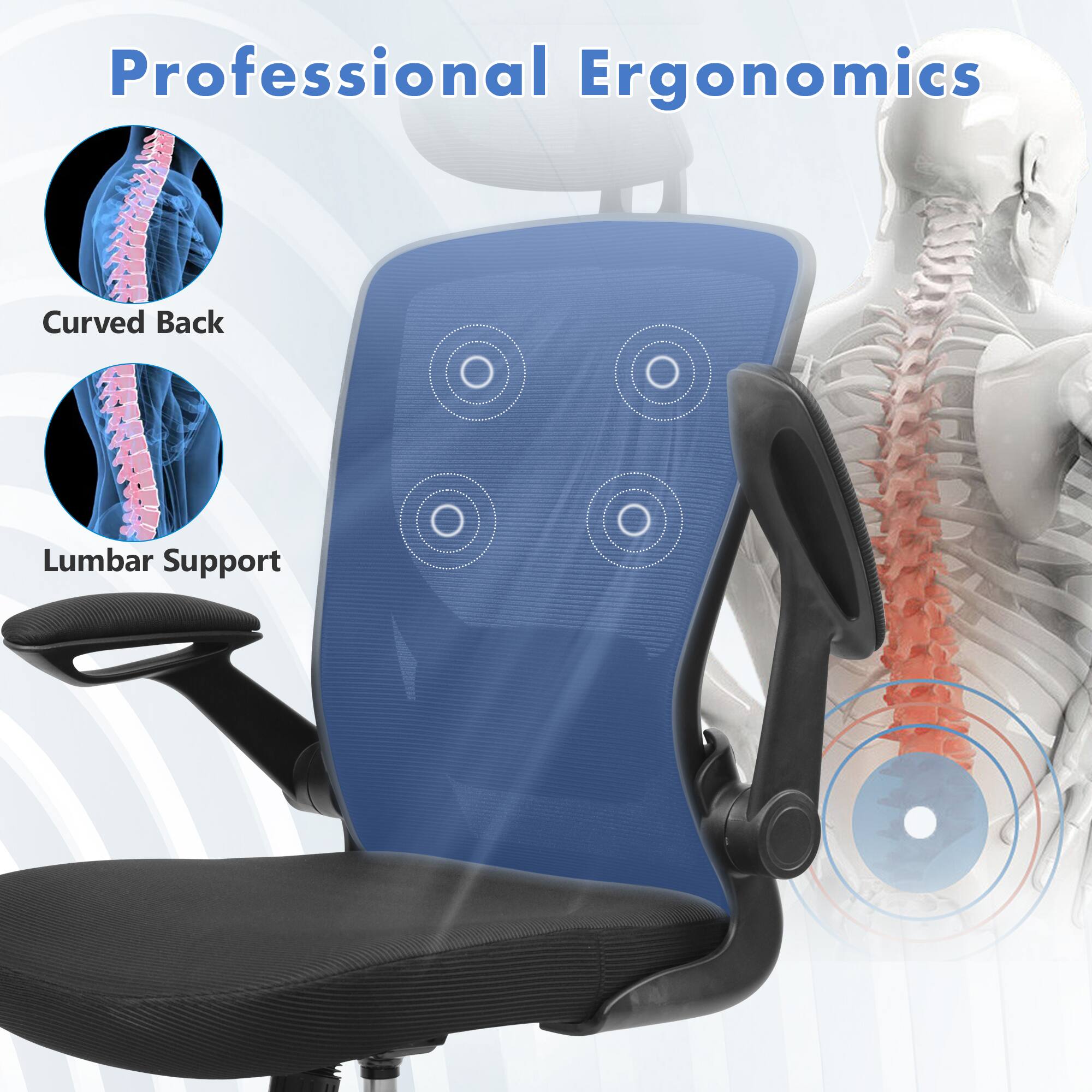 Professional Ergonomics  
Curved Back  
Lumbar Support