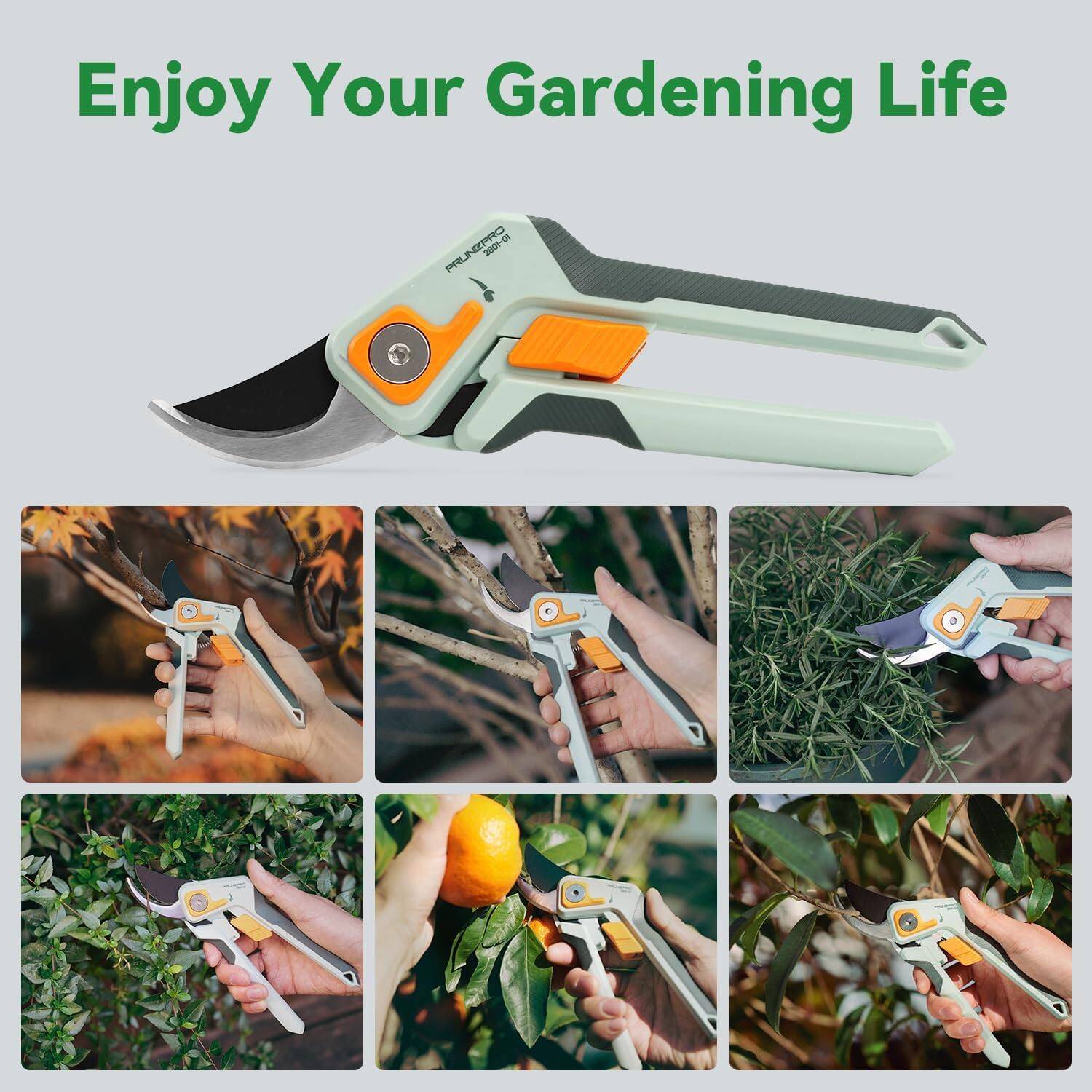 Enjoy Your Gardening Life

R PRLNTPRO 2001-01