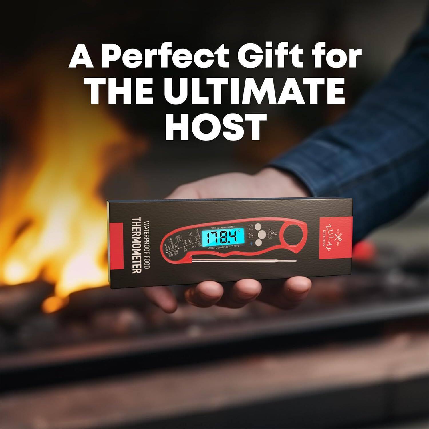 A Perfect Gift for THE ULTIMATE HOST THERMOMETER WATERPROOF FOOD 178.4 MOVT NAHALECK ZULAY -x-