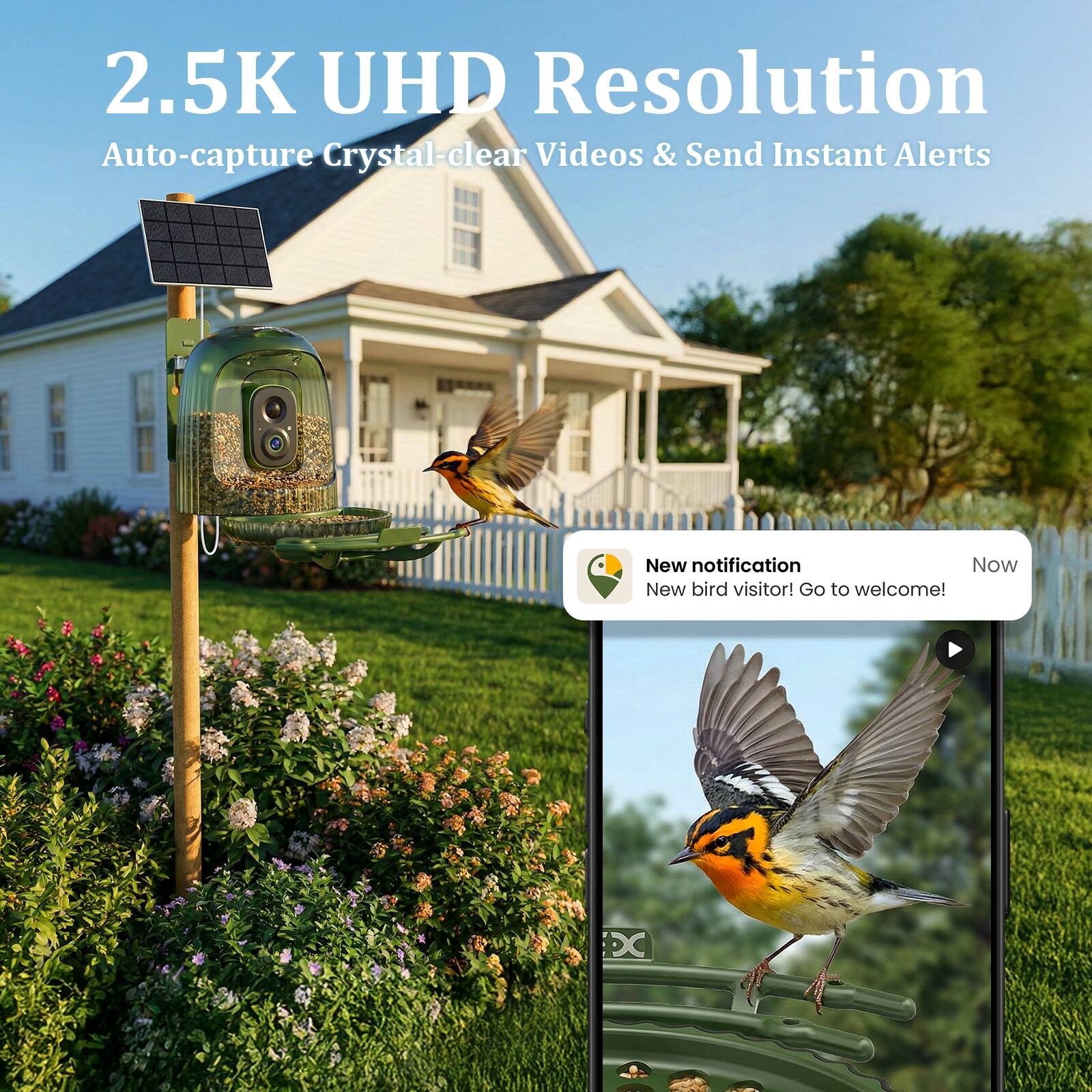 2.5K UHD Resolution  
Auto-capture Crystal-clear Videos & Send Instant Alerts  

New notification  
Now  
New bird visitor! Go to welcome!