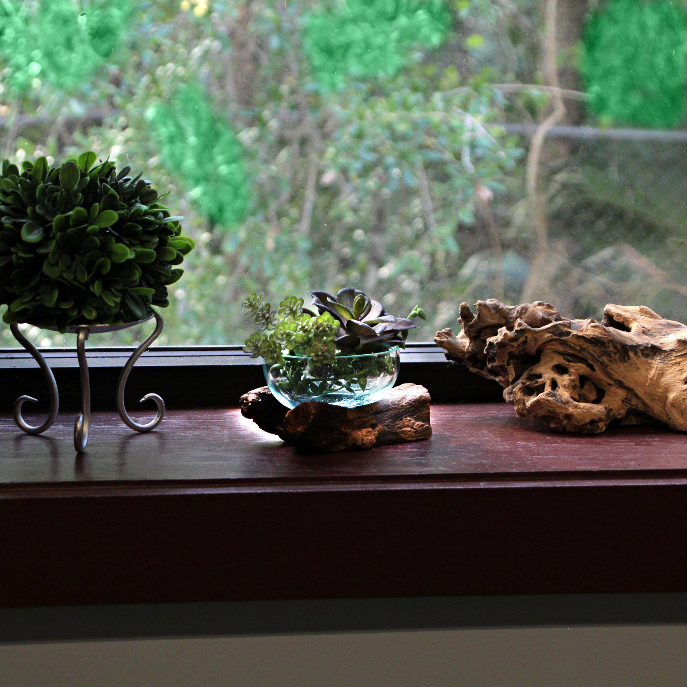 Alt View 3. Chesapeake Bay - Glass and Teak Driftwood Bowl – 3.25” High Decorative Succulent Centerpiece - Natural.