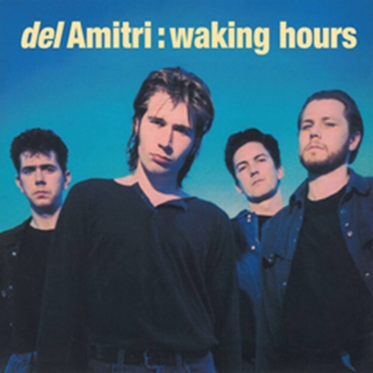 del Amitri: waking hours