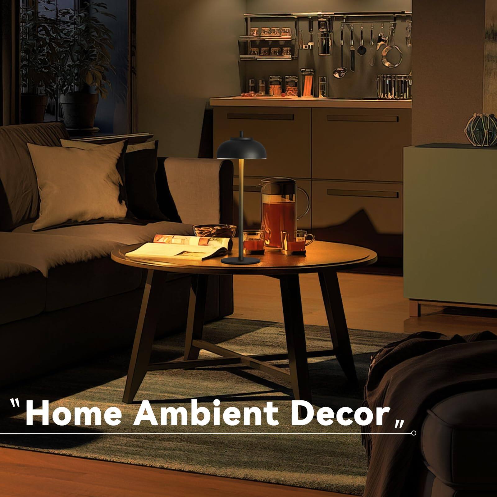 "Home Ambient Decor"