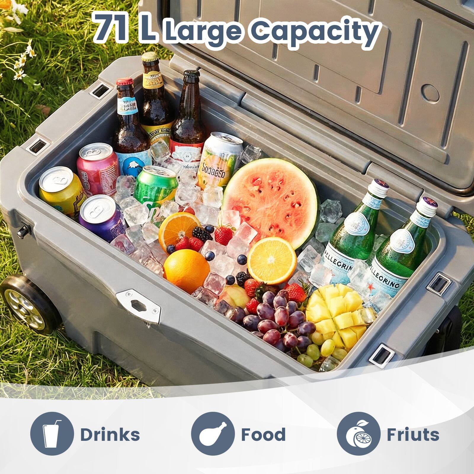 71 L Large Capacity

Drinks
Food
Fruits