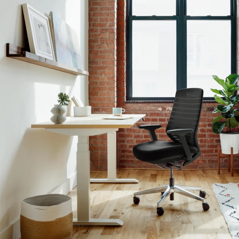 Back. Branch Furniture - Branch Ergonomic Chair – Adjustable Office Chair for All-Day Comfort with Lumbar Support and Recycled Mesh Back - Black.