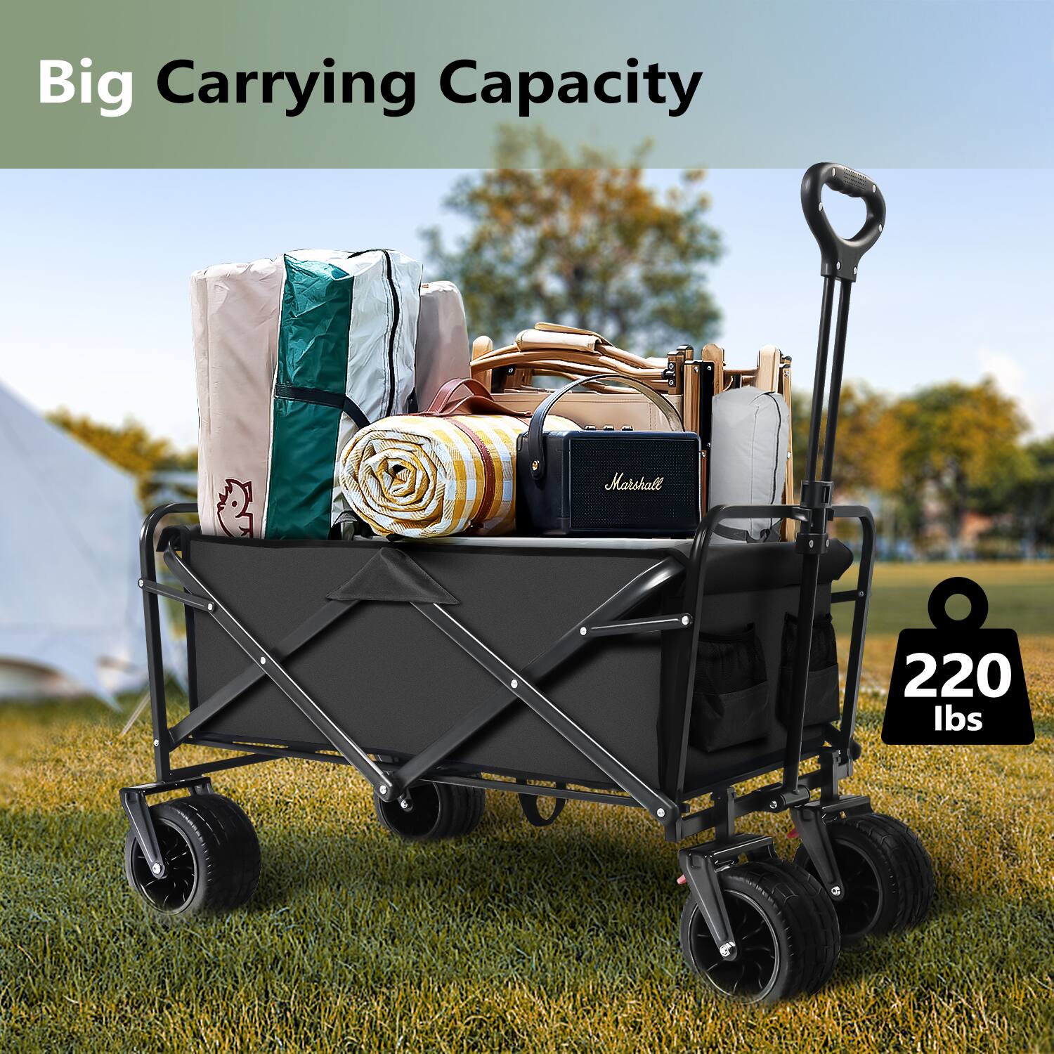 Big Carrying Capacity Marshall 220 lbs.