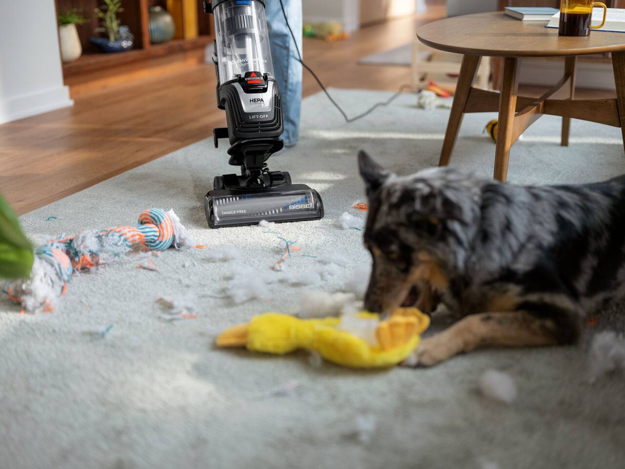 CLEANMAX  
HEPA  
LIFT-OFF  
TANGLE-FREE  
BISSELL