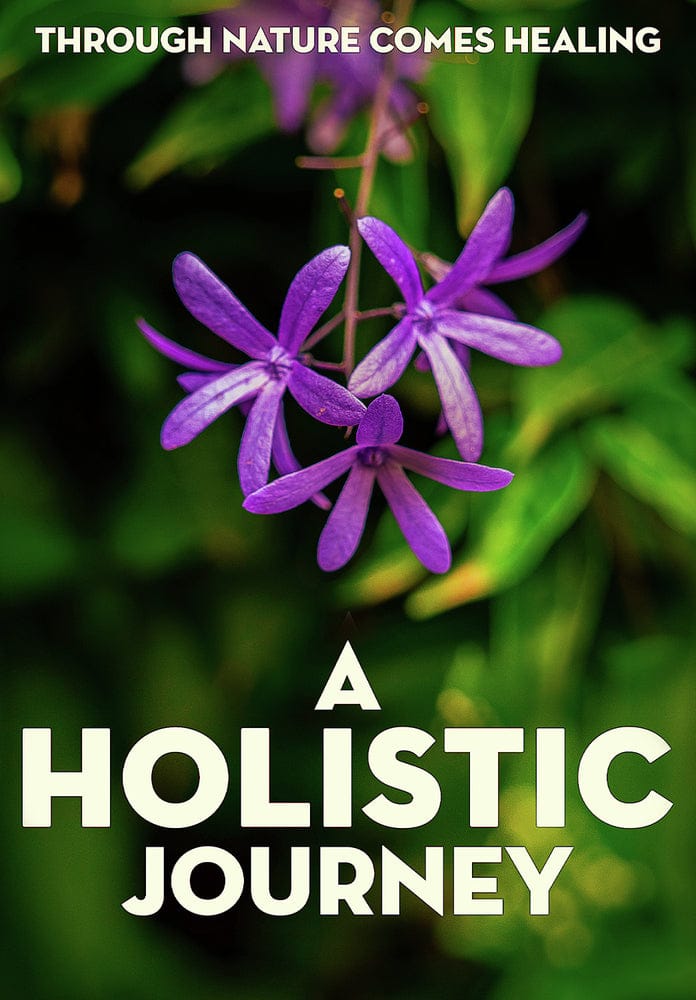 A Holistic Journey (MOD) (DVD Movie) price history on PriceWatchPro