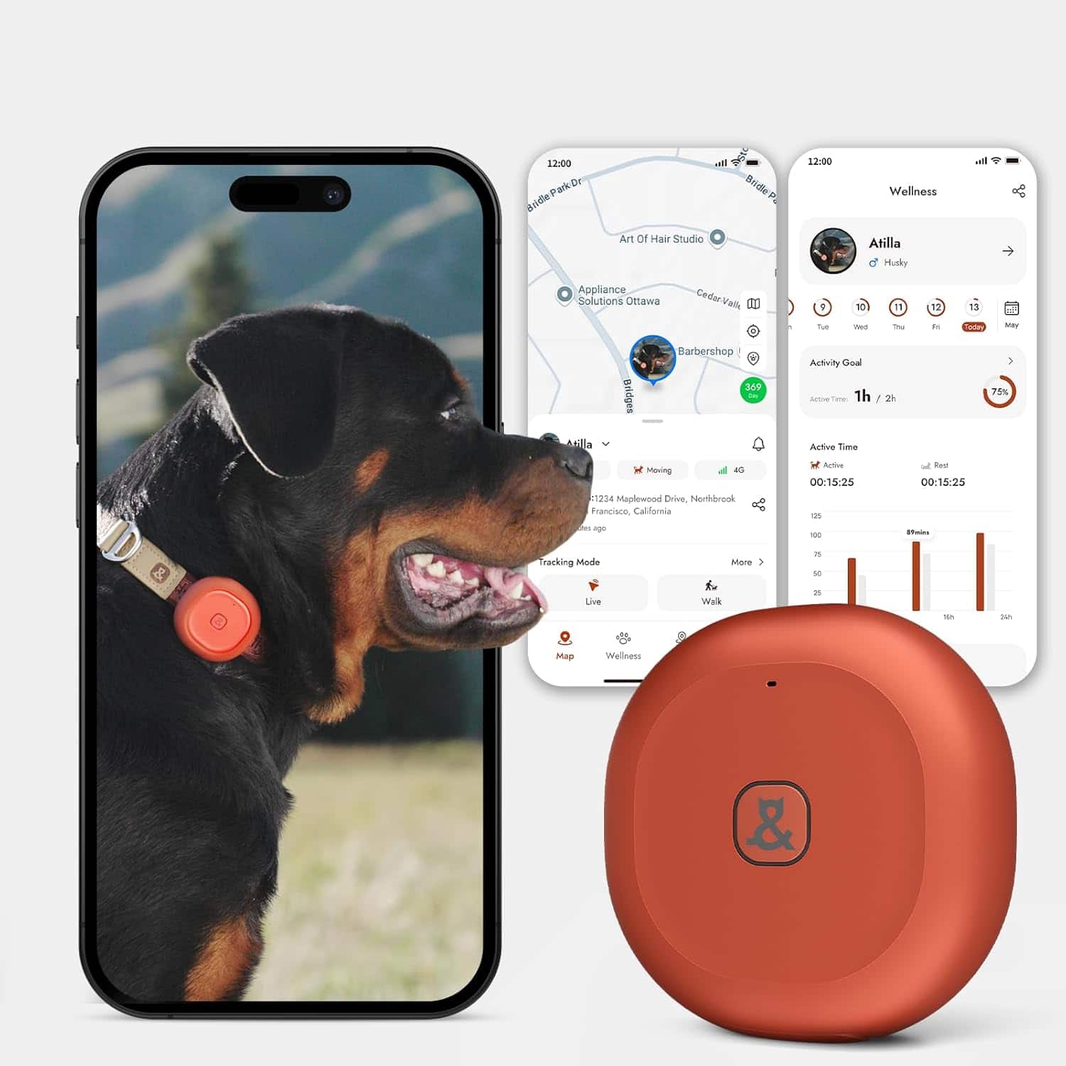 Invenitiah Homes - Molly&Cody GPS + Bluetooth Pet Tracker for Cats & Dogs – Real-Time Tracking, Virtual Fence, Waterproof, Health - Red