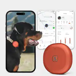 Invenitiah Homes - Molly&Cody GPS + Bluetooth Pet Tracker for Cats & Dogs – Real-Time Tracking, Virtual Fence, Waterproof, Health - Red