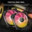 Two RX RGB Fans: Corsair's best performing fans are optimized for radiators with high static pressure while keeping noise as low as possible.